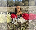Small #3 Breeder Profile image