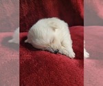 Small #73 Breeder Profile image