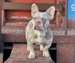 Small #2 Breeder Profile image