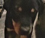 Small #3 Breeder Profile image
