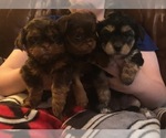 Small #13 Breeder Profile image