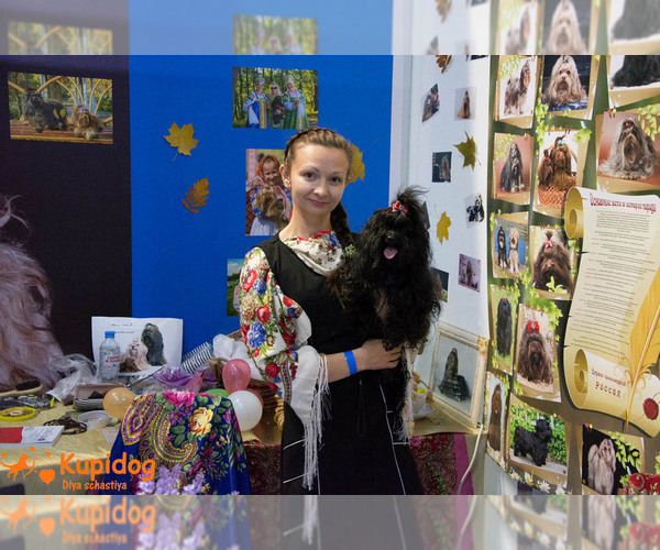 Medium Photo #1  Breeder Profile in Sergiyev Posad, Moscow Oblast, Russia