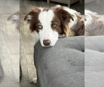 Small #3 Breeder Profile image