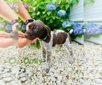 Small #9 Breeder Profile image