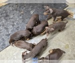 Small #16 Breeder Profile image
