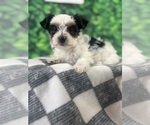 Small #7 Breeder Profile image