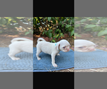 Small #5 Breeder Profile image