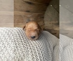 Small #3 Breeder Profile image