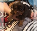 Small #32 Breeder Profile image