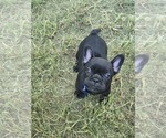 Small #4 Breeder Profile image