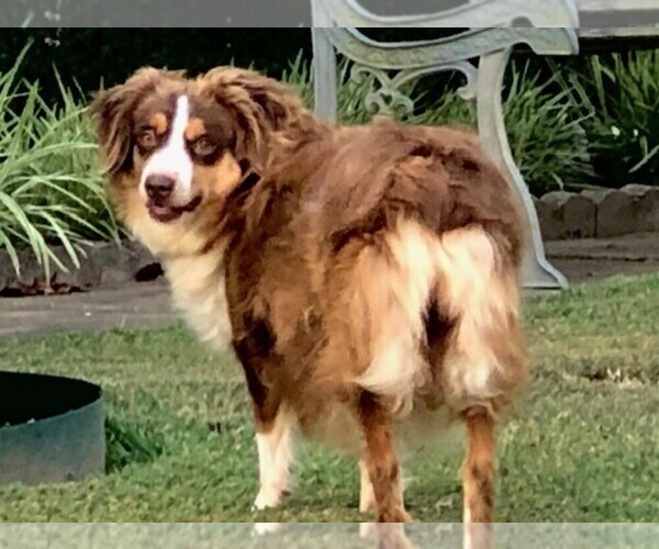 Medium Photo #1  Breeder Profile in HOWE, OK, USA