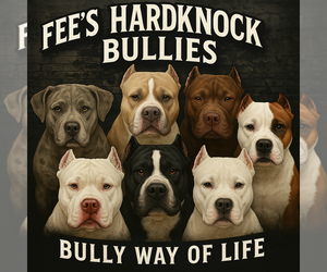 American Bully Dog Breeder near SAN JOSE, CA, USA