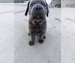 Small #3 Breeder Profile image
