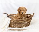 Small #21 Breeder Profile image
