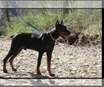 Small #2 Breeder Profile image