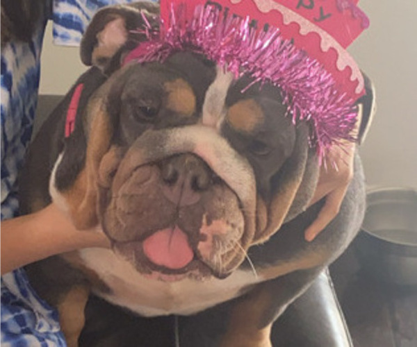 Medium Photo #1  Breeder Profile in SANTA CLARITA, CA, USA