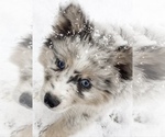 Small #57 Breeder Profile image