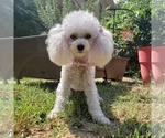 Small #13 Breeder Profile image