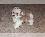 Small #97 Breeder Profile image