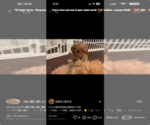 Small #6 Breeder Profile image