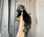 Small #199 Breeder Profile image