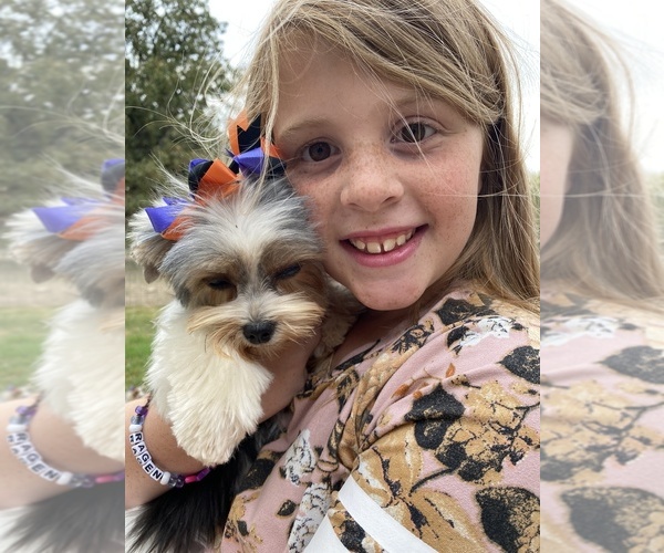 Medium Photo #3  Breeder Profile in OWENSVILLE, MO, USA