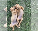 Small #11 Breeder Profile image