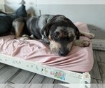 Small #10 Breeder Profile image