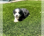 Small #12 Breeder Profile image