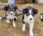 Small #7 Breeder Profile image