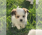 Small #16 Breeder Profile image