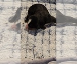 Small #3 Breeder Profile image