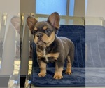 Small #18 Breeder Profile image
