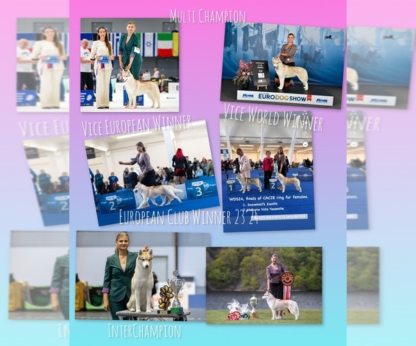 Medium Photo #13  Breeder Profile in Lviv, Lviv, Ukraine
