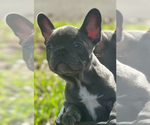 Small #3 Breeder Profile image