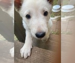 Small #7 Breeder Profile image