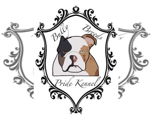 Medium Photo #1  Breeder Profile in LAS VEGAS, NV, USA