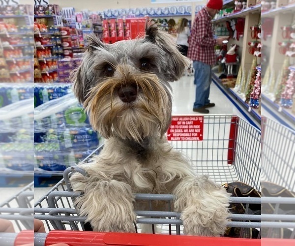 Medium Photo #10  Breeder Profile in WELLINGTON, AL, USA