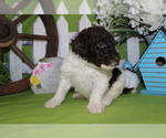 Small #70 Breeder Profile image
