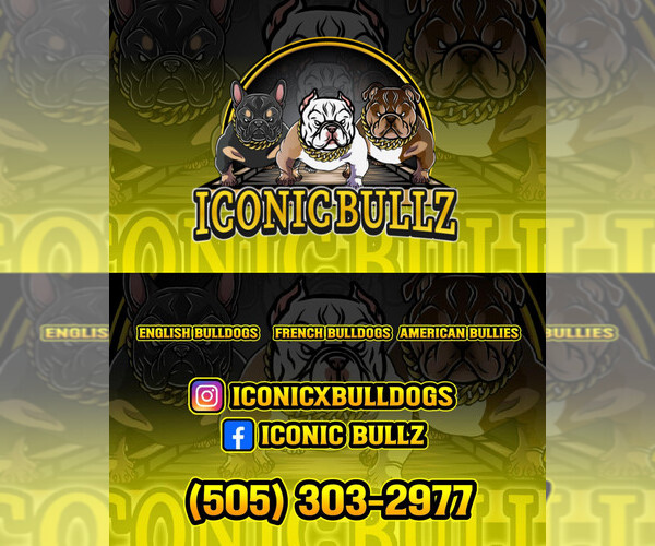 Medium Photo #1  Breeder Profile in ALBUQUERQUE, NM, USA