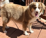 Small #3 Breeder Profile image