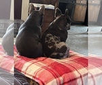 Small #33 Breeder Profile image