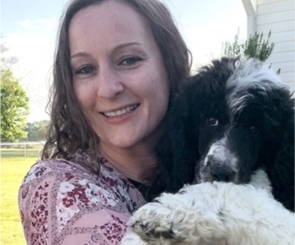 Medium Photo #1  Breeder Profile in DUNN, NC, USA