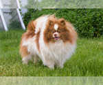 Small #5 Breeder Profile image