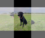 Small #31 Breeder Profile image
