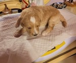 Small #13 Breeder Profile image