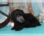 Small #30 Breeder Profile image