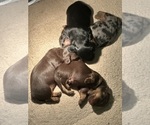 Small #2 Breeder Profile image