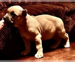 Small #7 Breeder Profile image