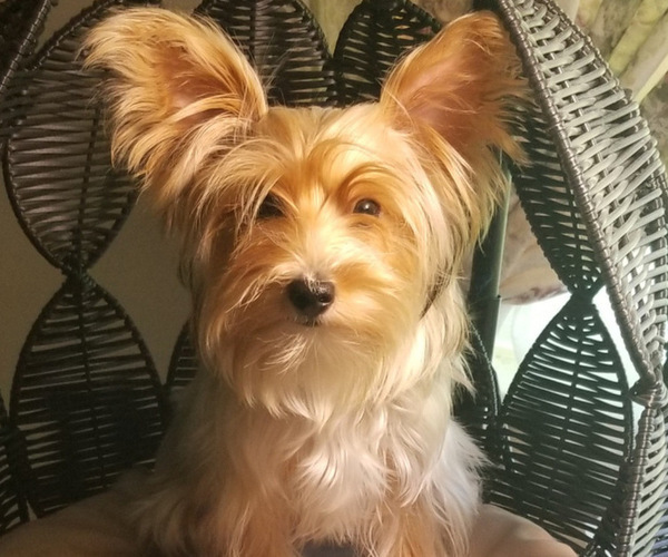 Medium Photo #6  Breeder Profile in ROCKWOOD, TN, USA